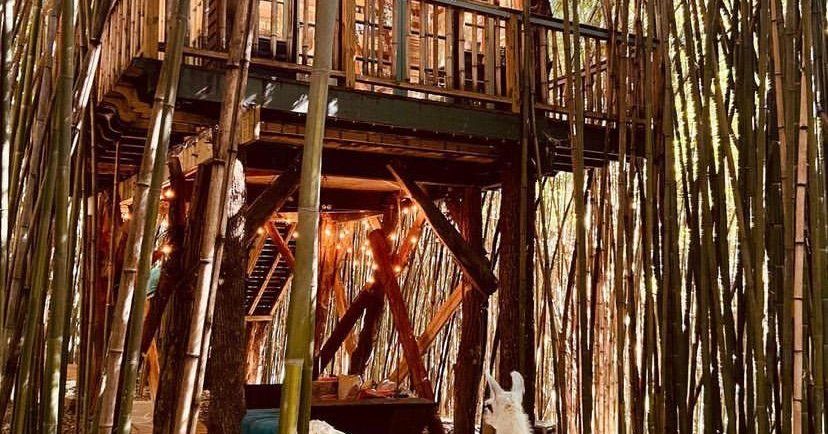 The Hidden Truth About Kalb That Will Change Everything About You