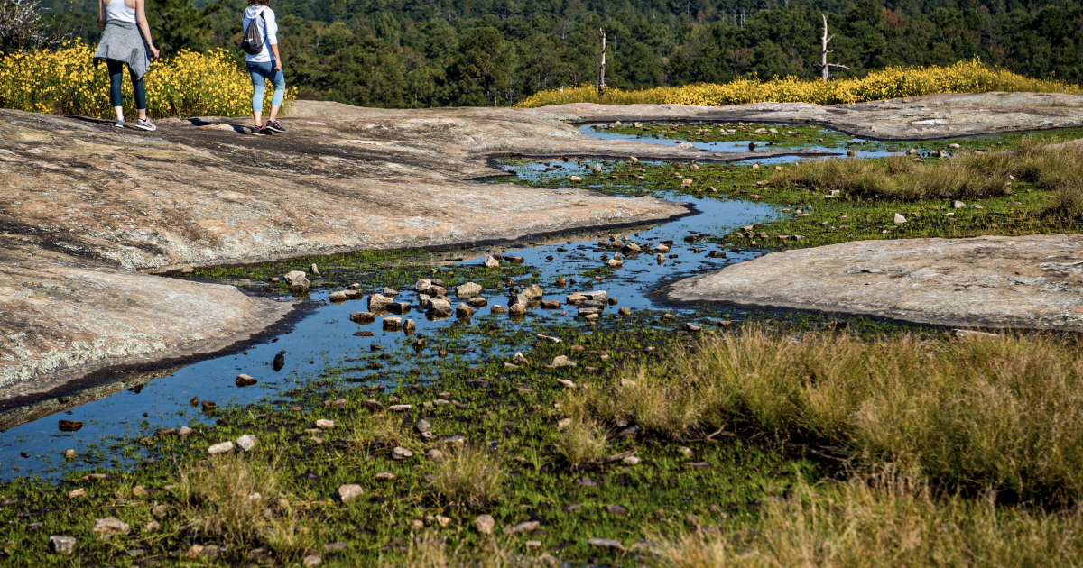 Learn How to Geocache - DeKalb County Convention and Visitors